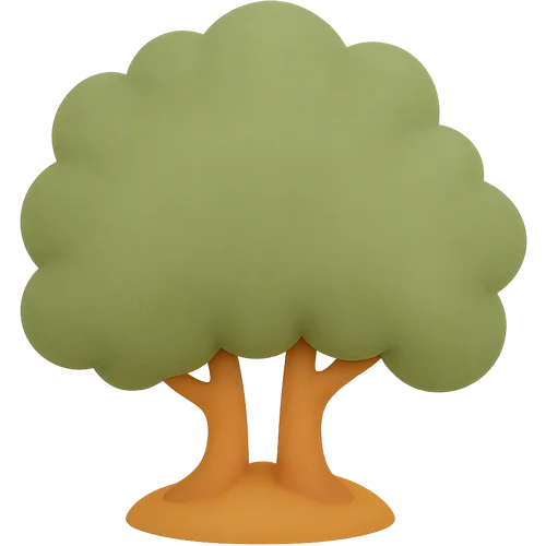 Personalizēta bērnu grāmata par došanos uz mežu piedzīvojumu